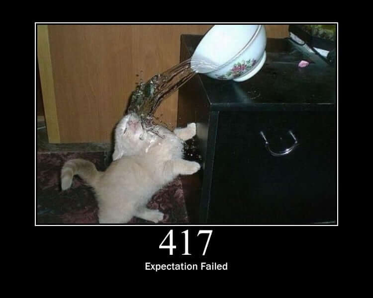 Image from http.cat: 417 Expectation failed. It shows a cat getting splashed by water from a bowl. The cat probably jumped against it and made the bowl fall and spilling its content on the cat's head.
